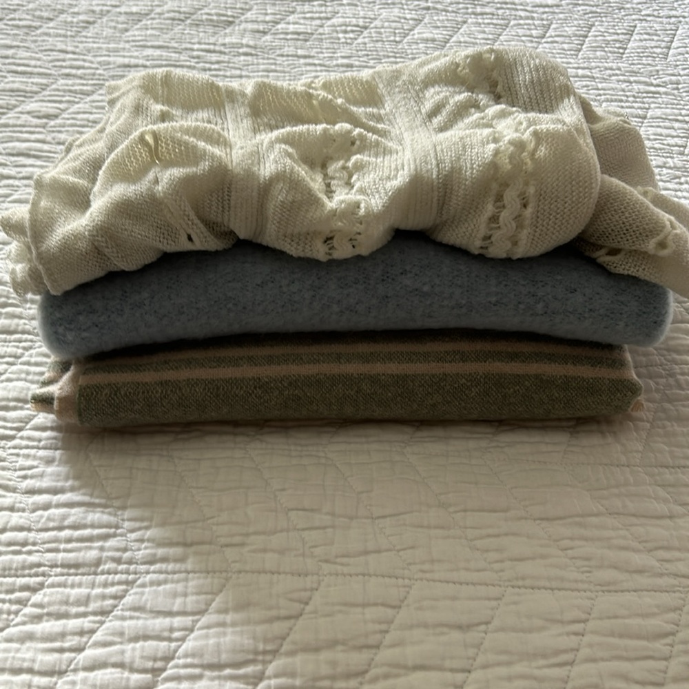 Set of 3 BNWT scarves!